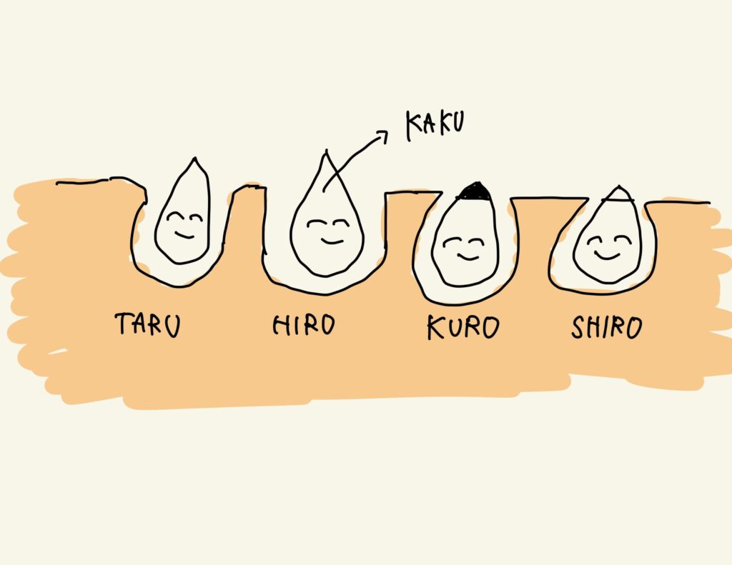 毛穴の種類計4つを簡単なイラストで図解。左からたるみ毛穴、広がった毛穴、黒く酸化した毛穴、白い毛穴4．